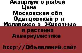 Аквариум с рыбой › Цена ­ 3 300 - Московская обл., Одинцовский р-н, Иславское с. Животные и растения » Аквариумистика   